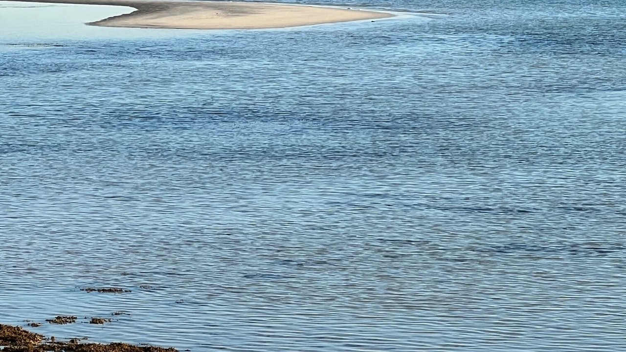 Photo of Others in Freeport