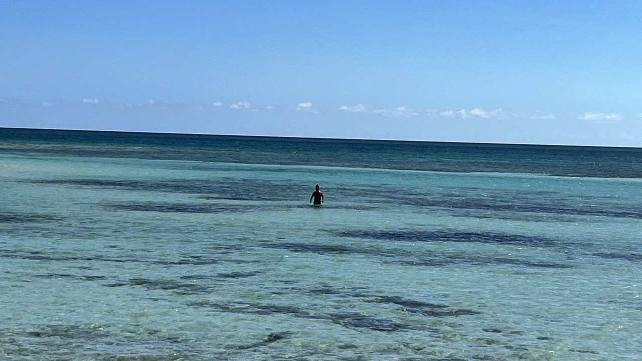Photo of Others in Freeport