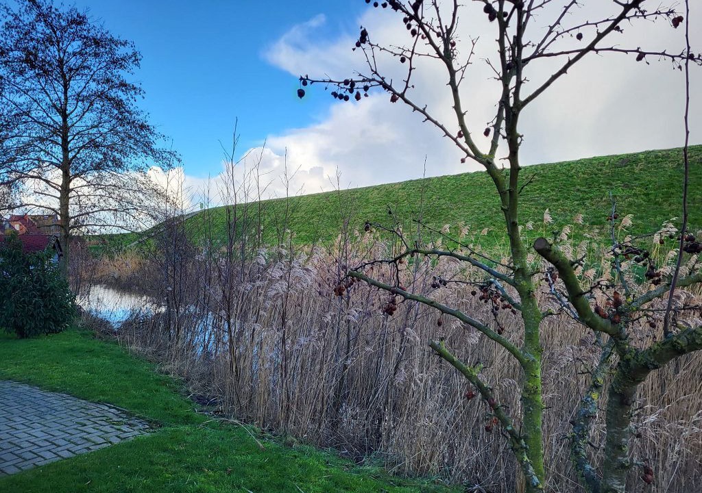 Photo of Outdoor in Visquard
