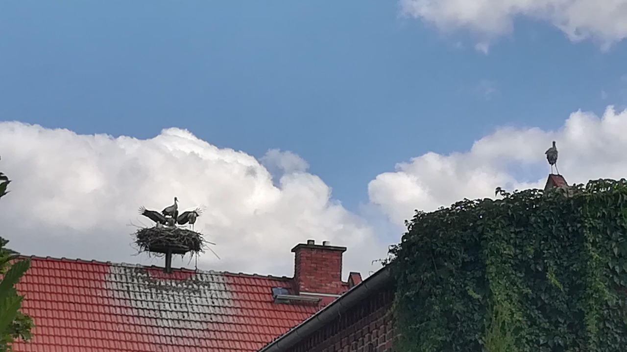 Photo of Outdoor in Jerichow