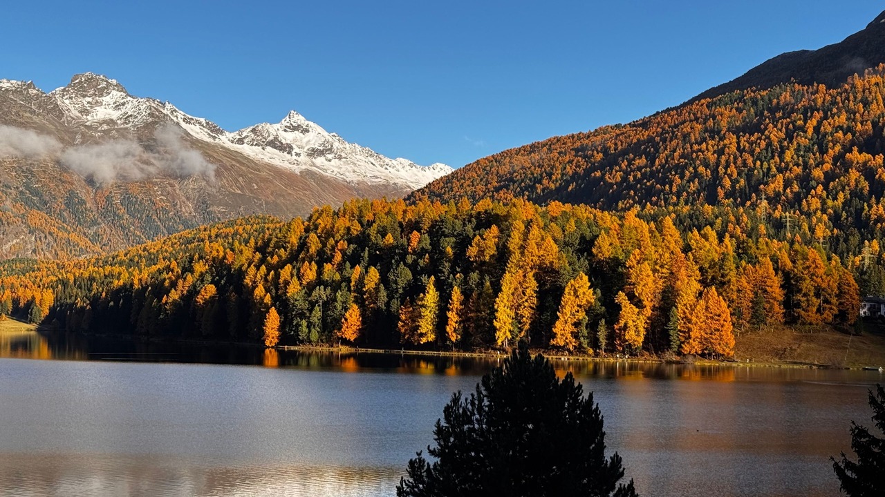 Photo of Others in St. Moritz