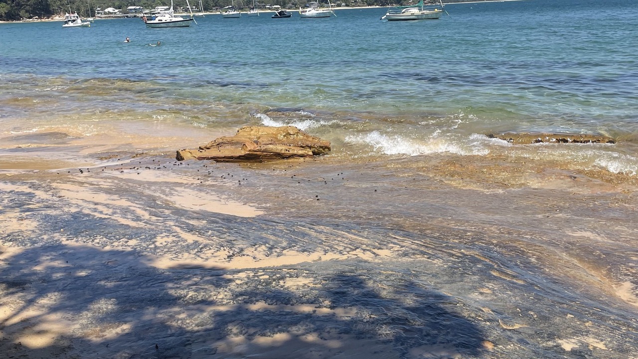 Photo of Others in Bundeena