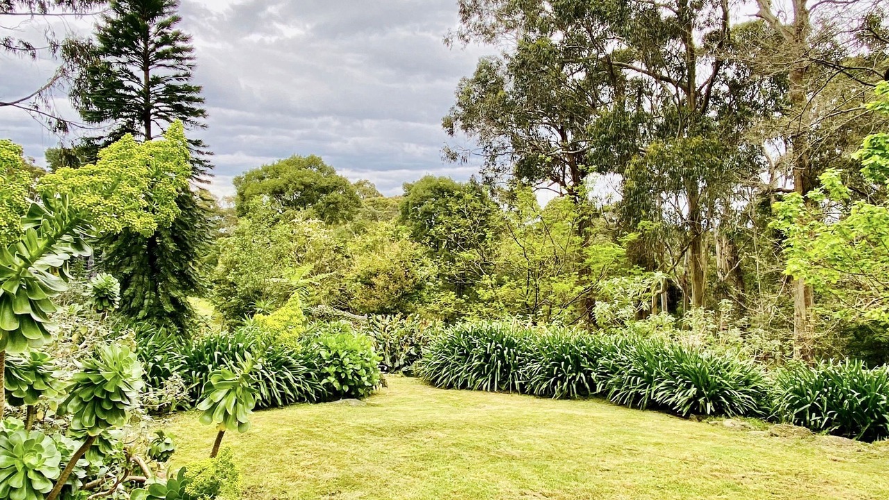 Photo of Outdoor in Tecoma