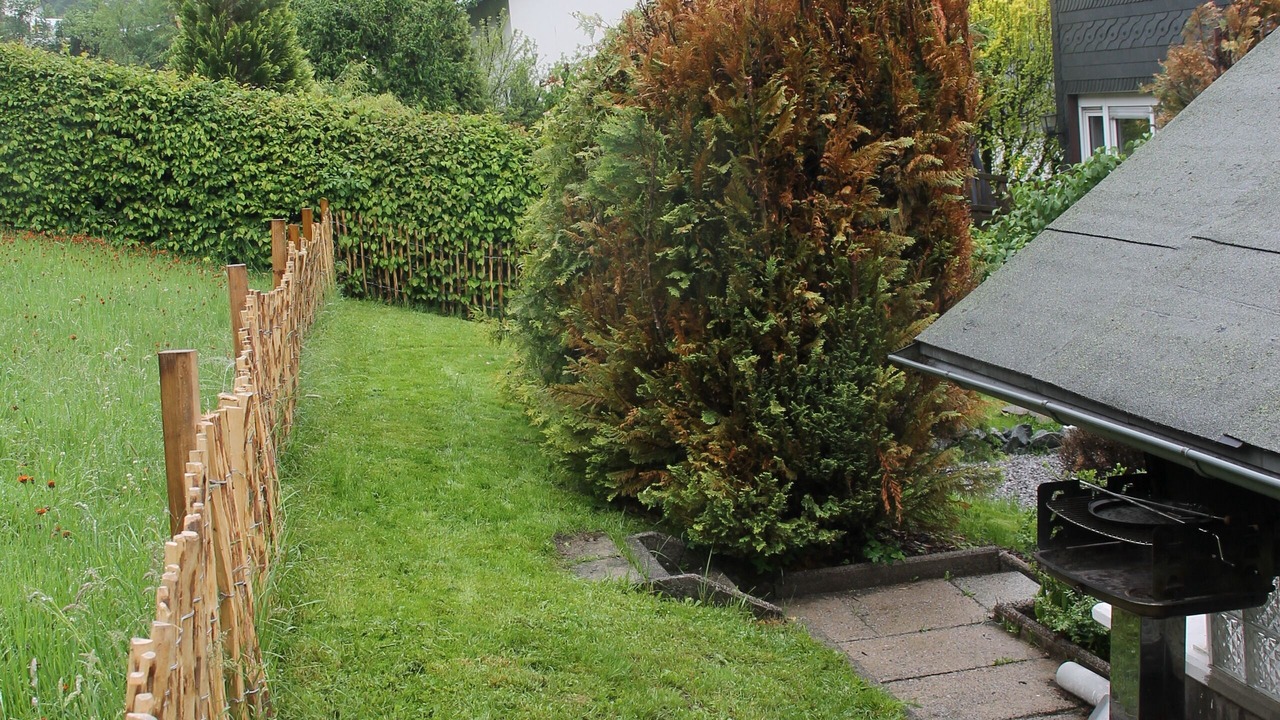 Photo of Outdoor in Silbach