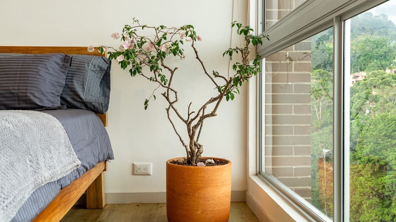 Photo of Bedroom in El Tesoro