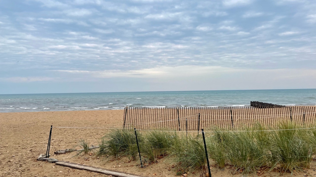 Photo of Outdoor in Rogers Park
