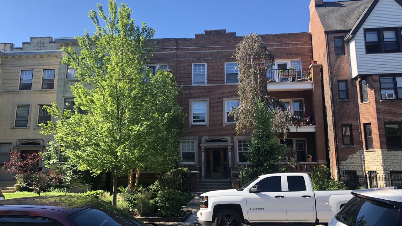 Photo of Others in Rogers Park