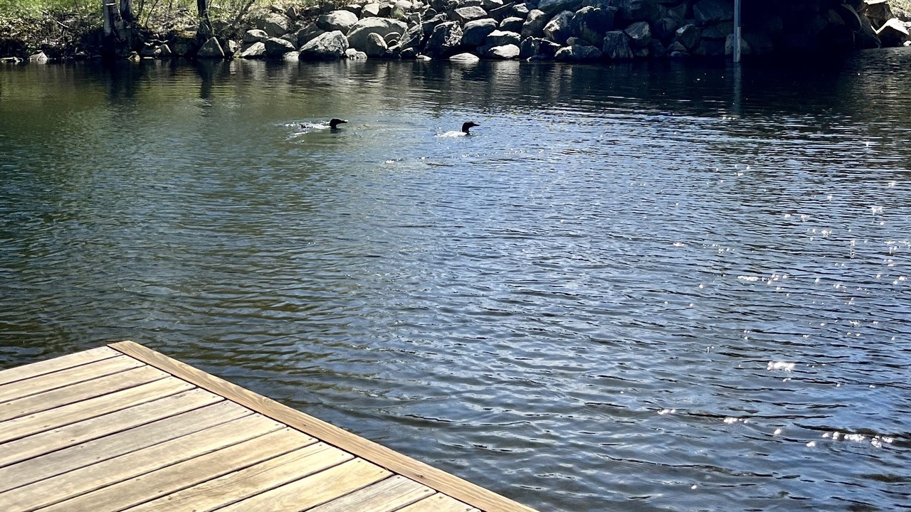 Photo of Others in Wolfeboro