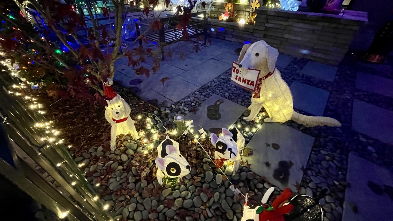 Photo of Outdoor in Rogers Park