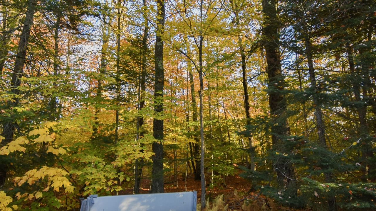 Photo of Outdoor in Warren