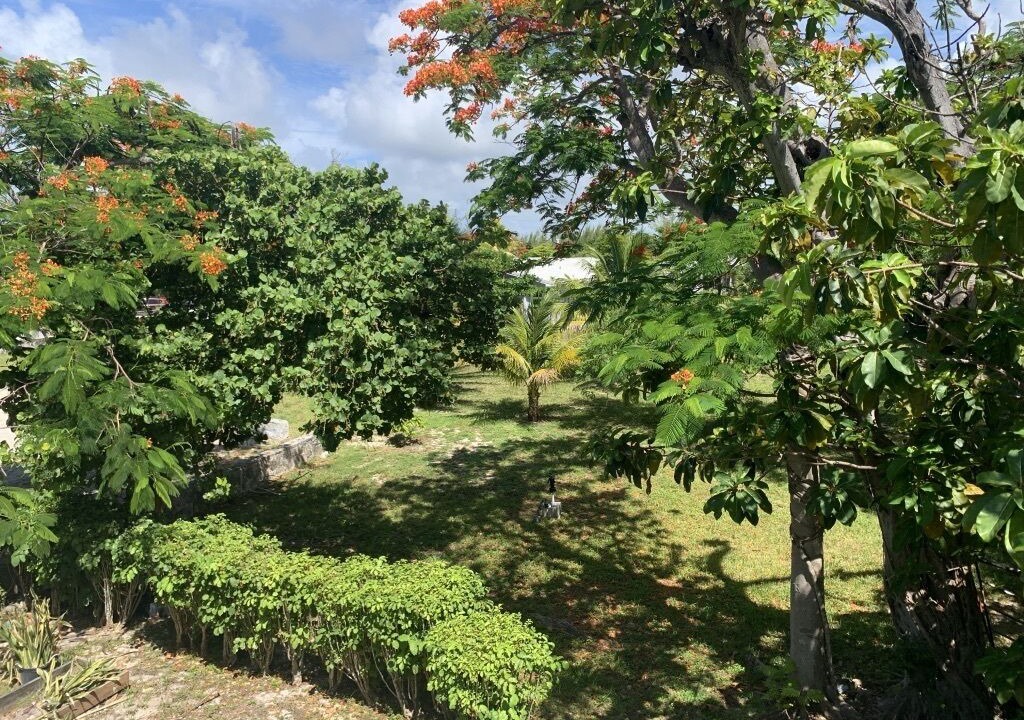 Photo of Outdoor in Freeport