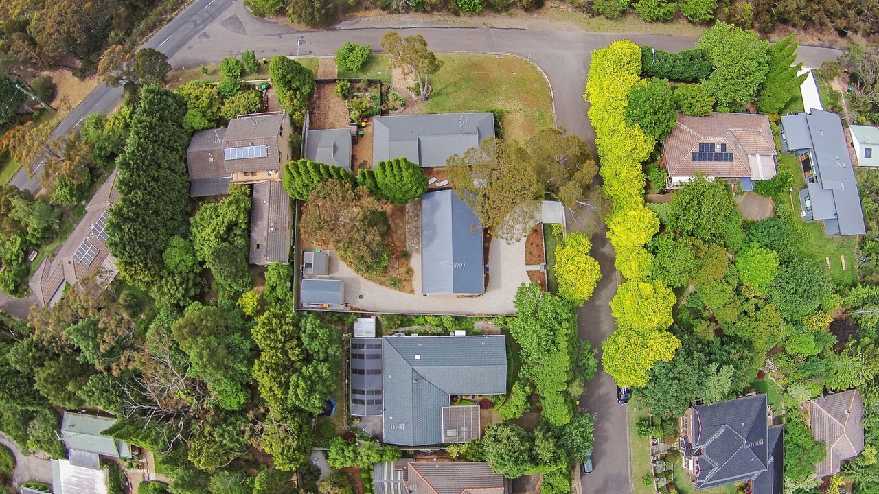 Photo of Outdoor in Leura