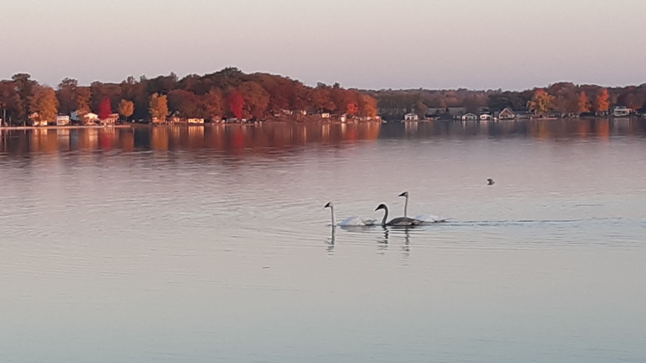 Photo of Others in Chippewa Lake