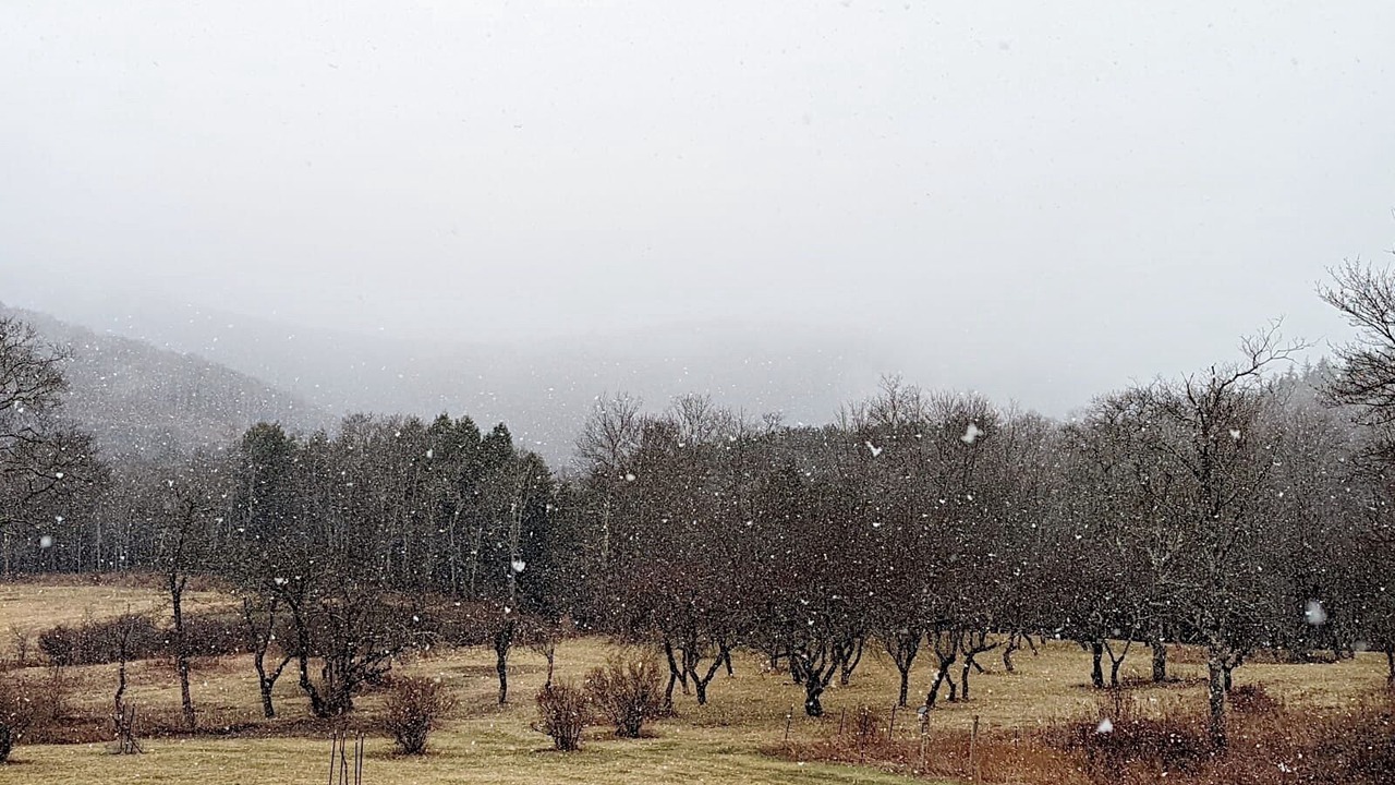 Photo of Outdoor in Parksville