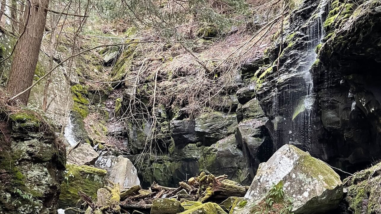 Photo of Outdoor in Parksville