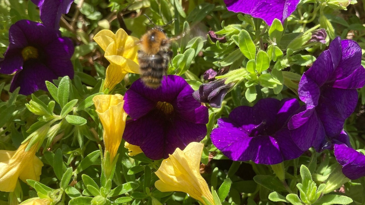 Photo of Outdoor in Glems