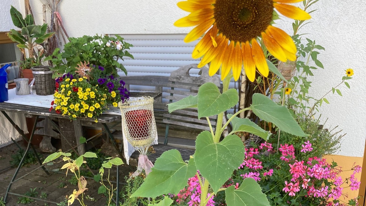 Photo of Outdoor in Glems