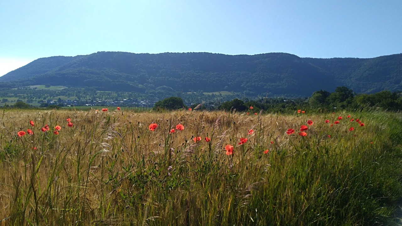 Photo of Outdoor in Glems