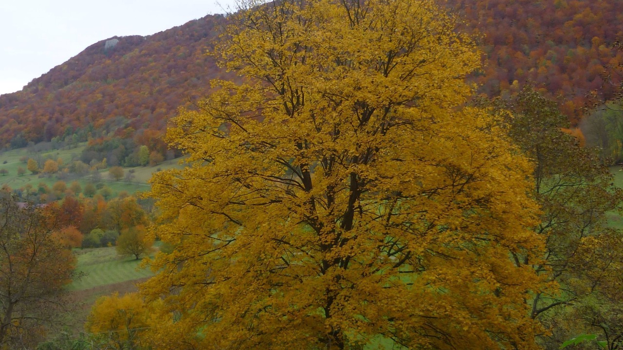 Photo of Outdoor in Glems