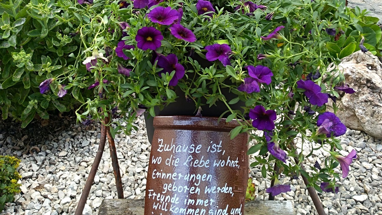 Photo of Outdoor in Glems