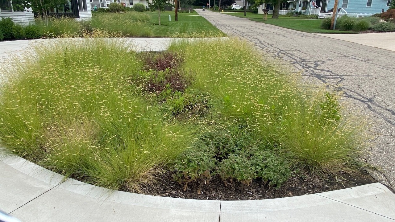 Photo of Outdoor in Spring Lake