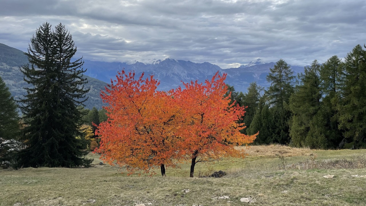 Photo of Outdoor in Mase