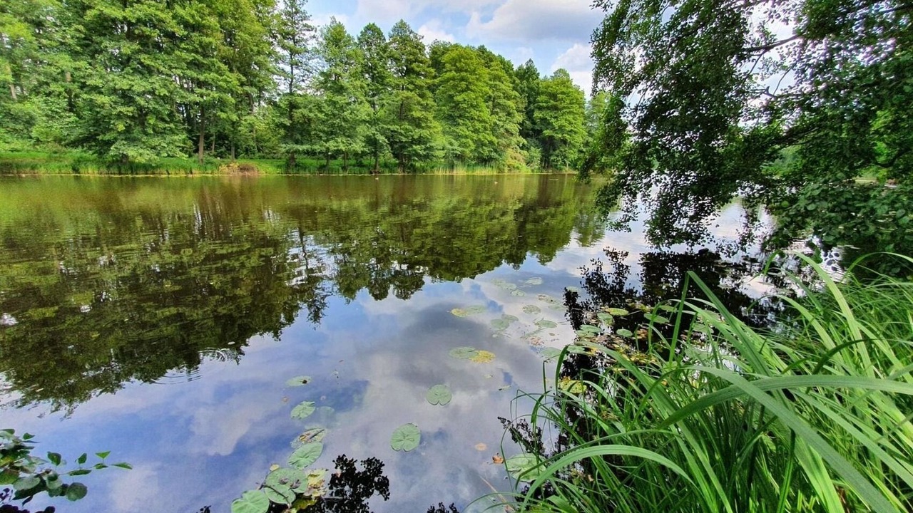 Photo of Outdoor in Groß Lindow