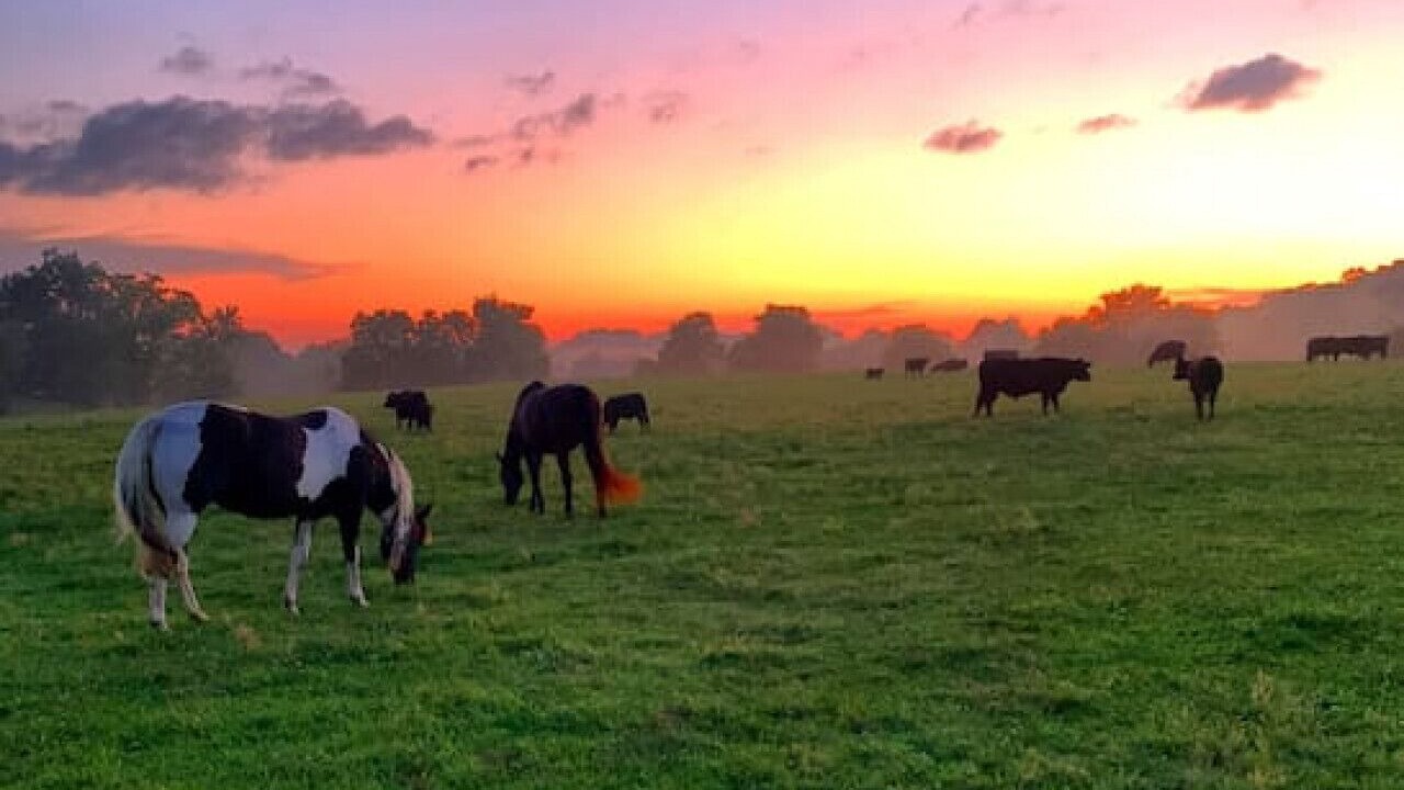 Photo of Outdoor in Normandy