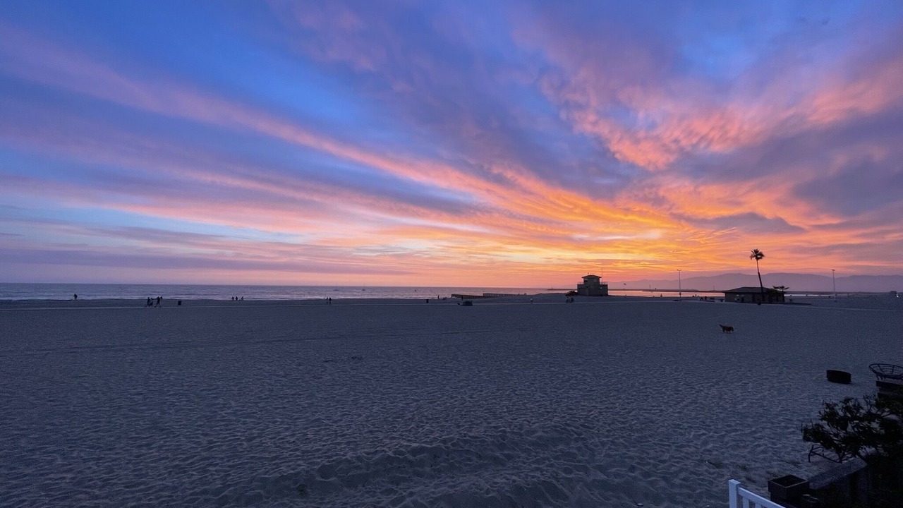 Photo of Others in Playa Del Rey
