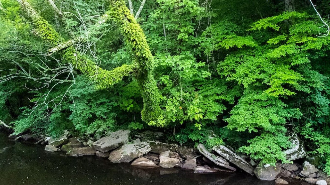 Photo of Outdoor in Normandy