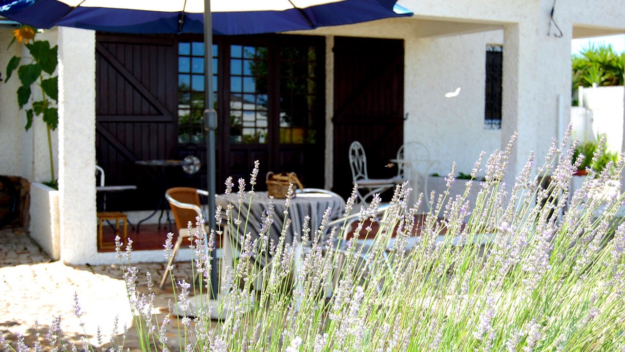 Photo of Outdoor in Abrantes