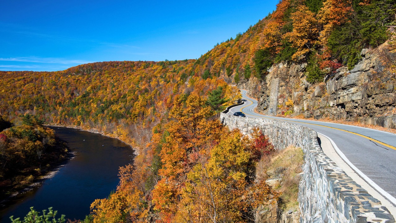 Photo of Others in Narrowsburg