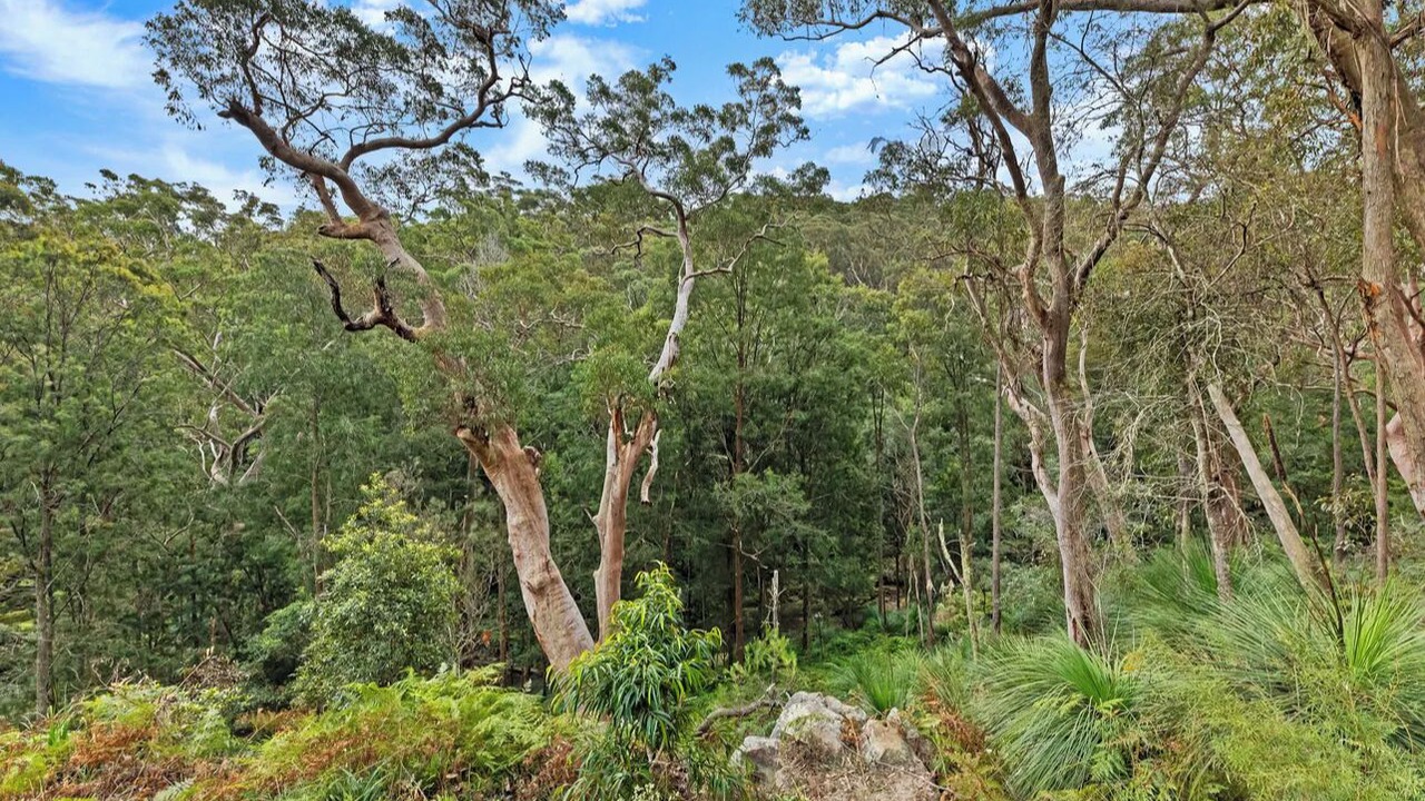 Photo of Outdoor in Galston