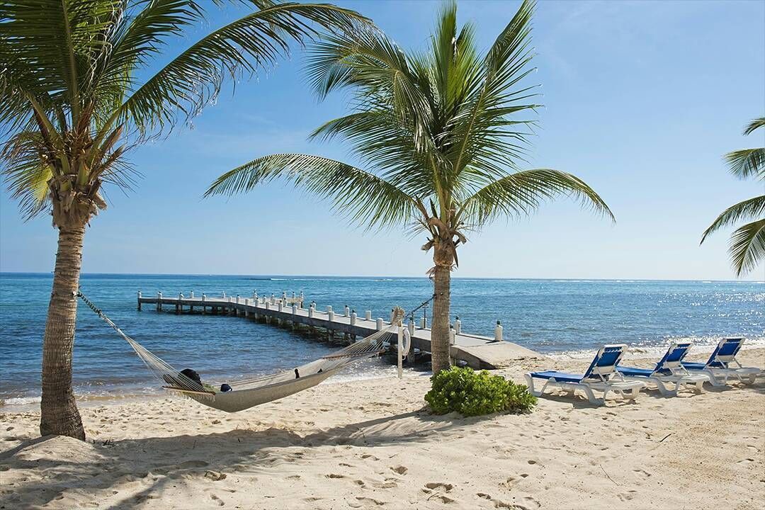 Photo of Others in Colliers Bay