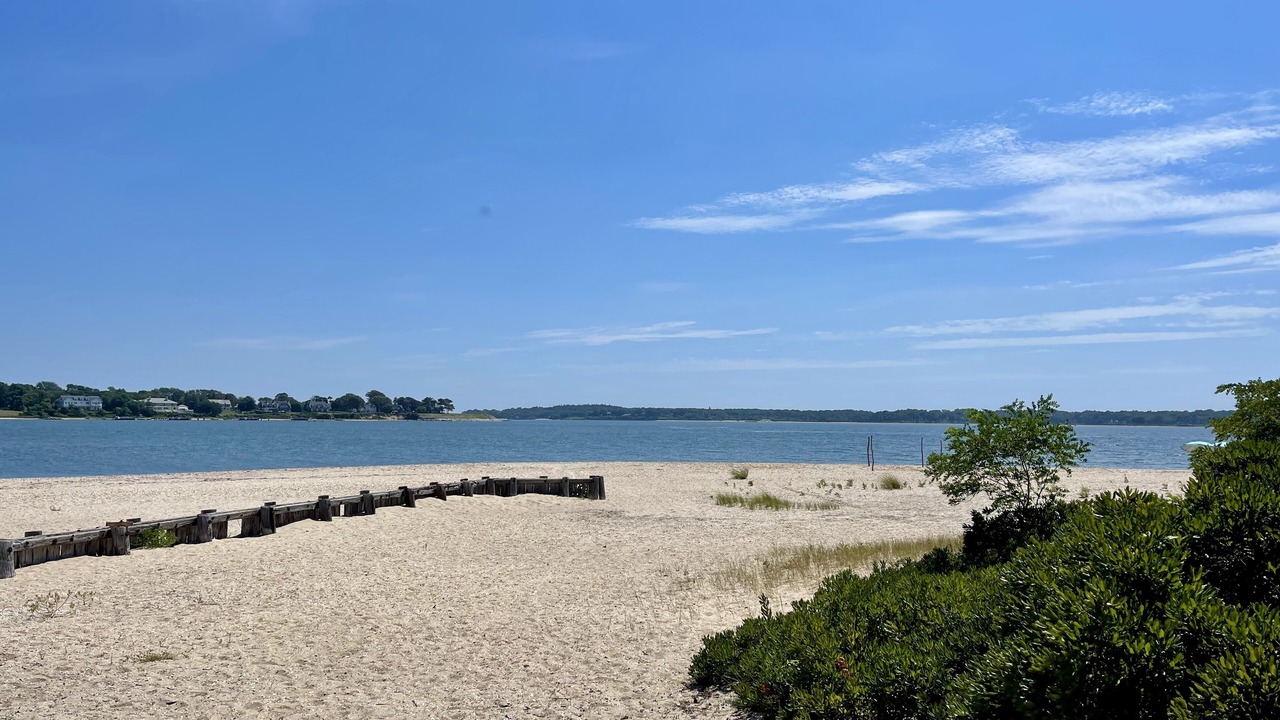 Photo of Others in Silver Beach