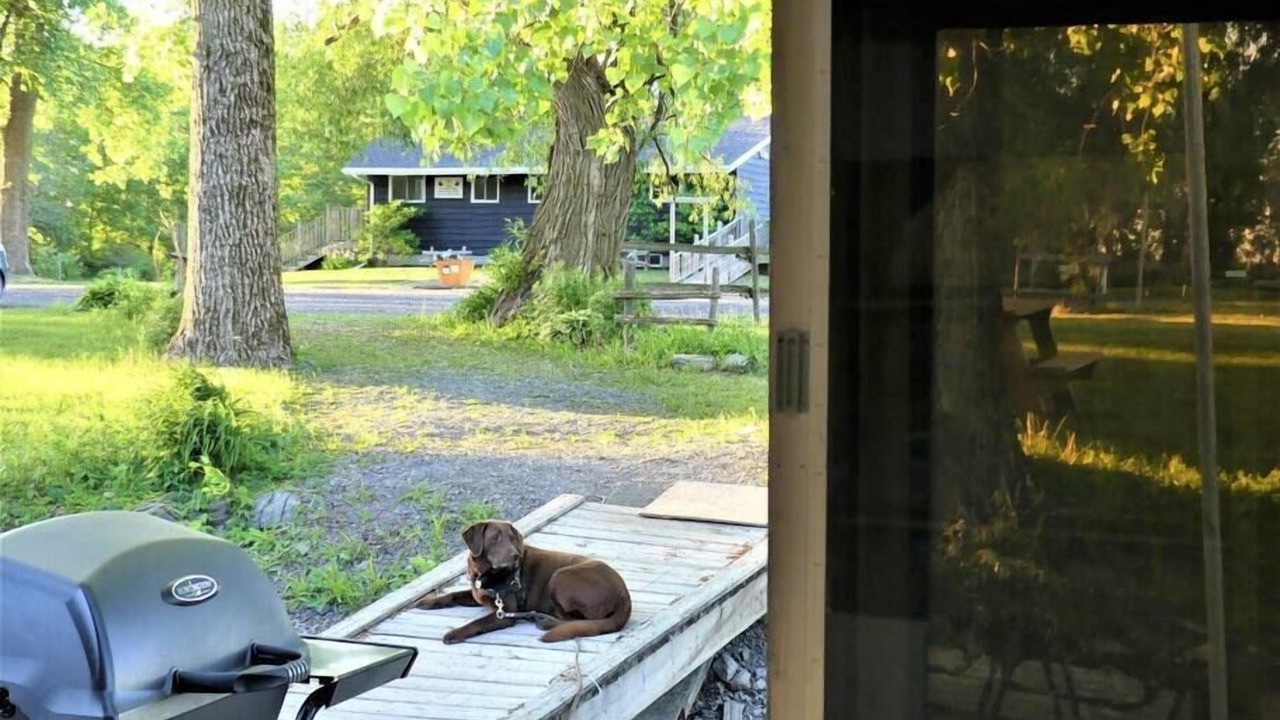 Photo of Others in Saint-Paul-de-l'Ile-aux-Noix