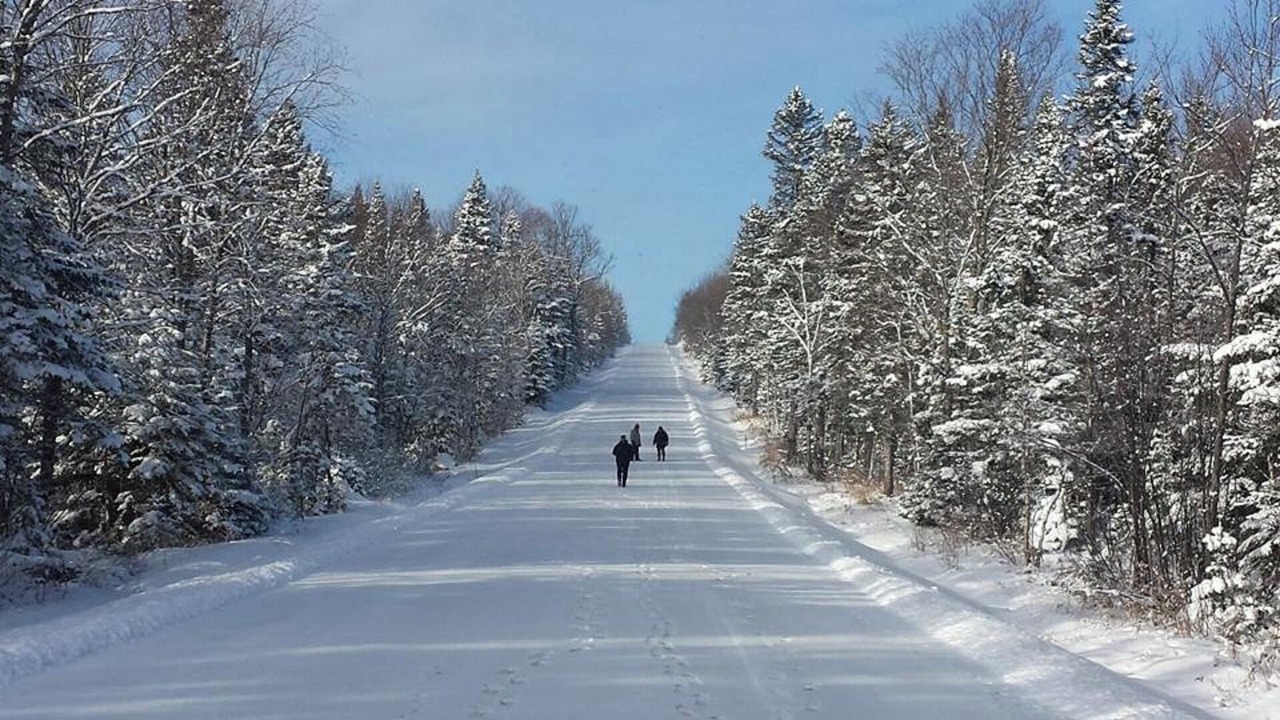 Photo of Others in Petite-Riviere-Saint-Francois