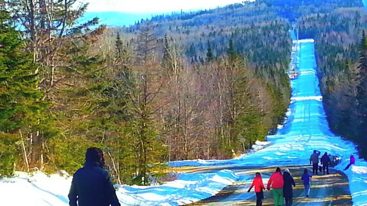 Photo of Others in Petite-Riviere-Saint-Francois