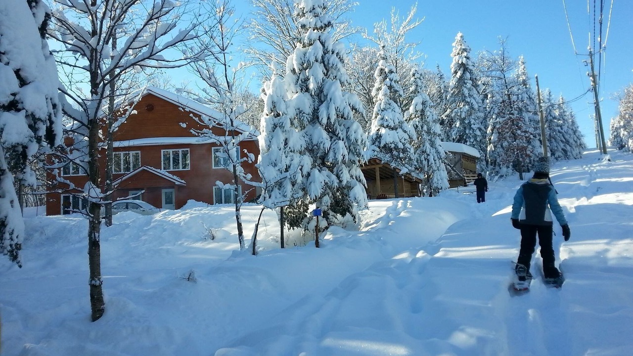 Photo of Outdoor in Petite-Riviere-Saint-Francois