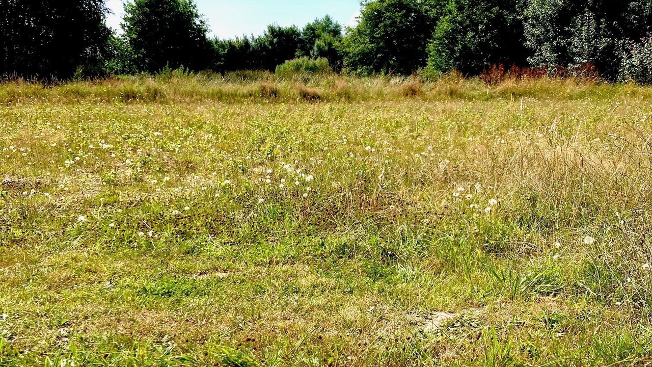 Photo of Outdoor in Rechtsupweg