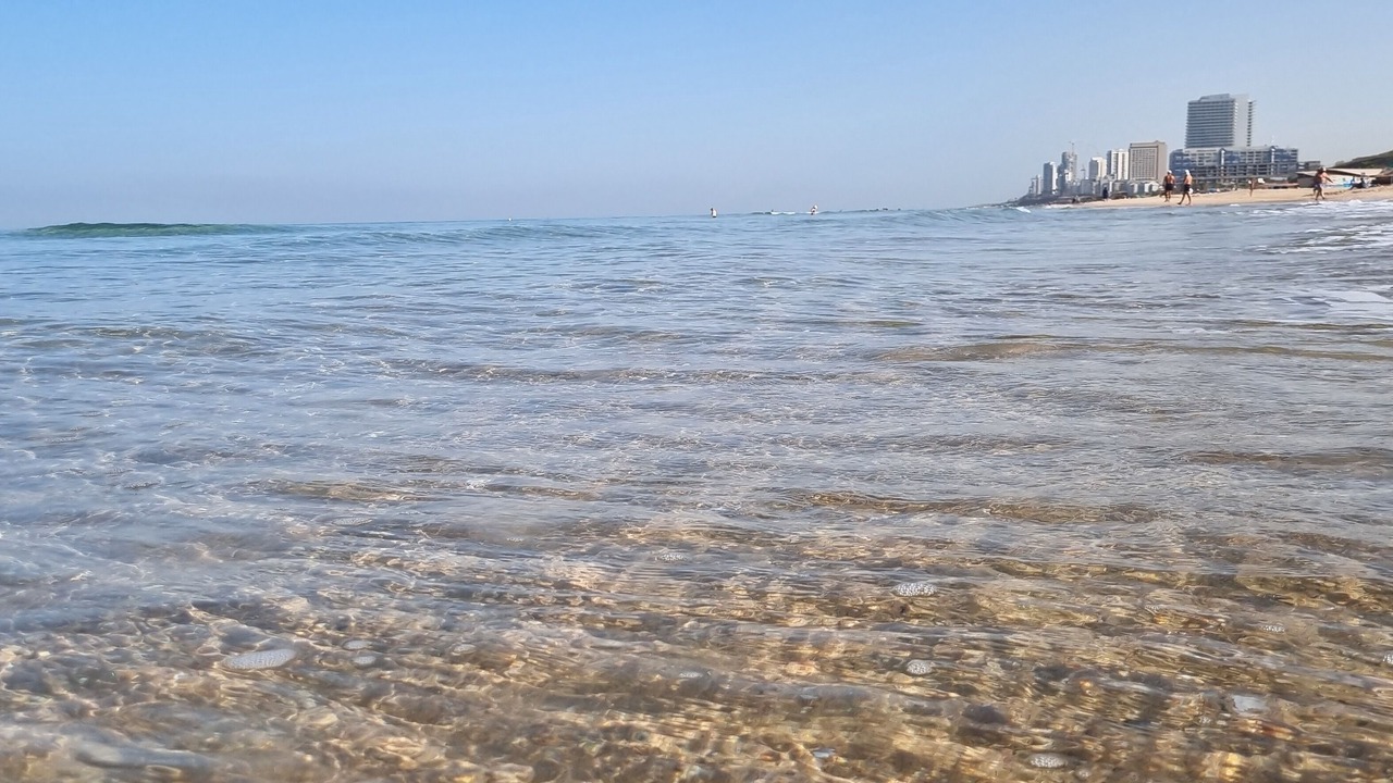 Photo of Others in Rishon LeTsiyon