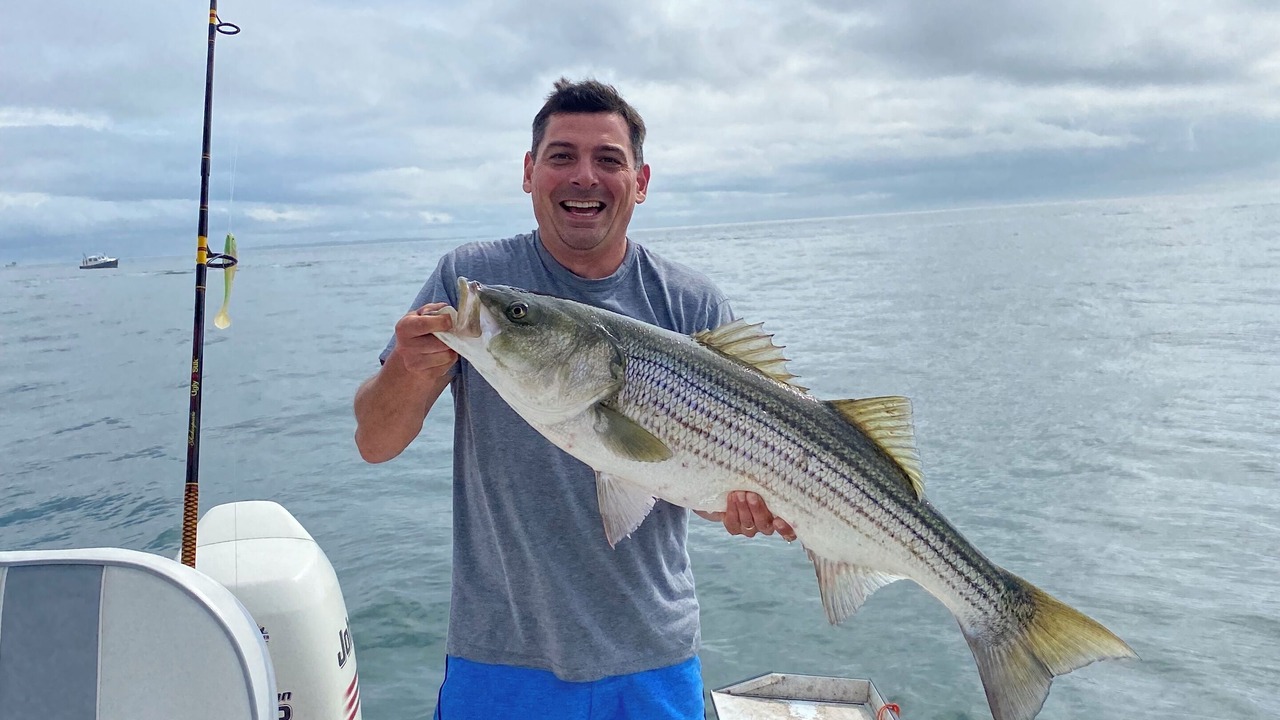 Photo of Others in Niantic