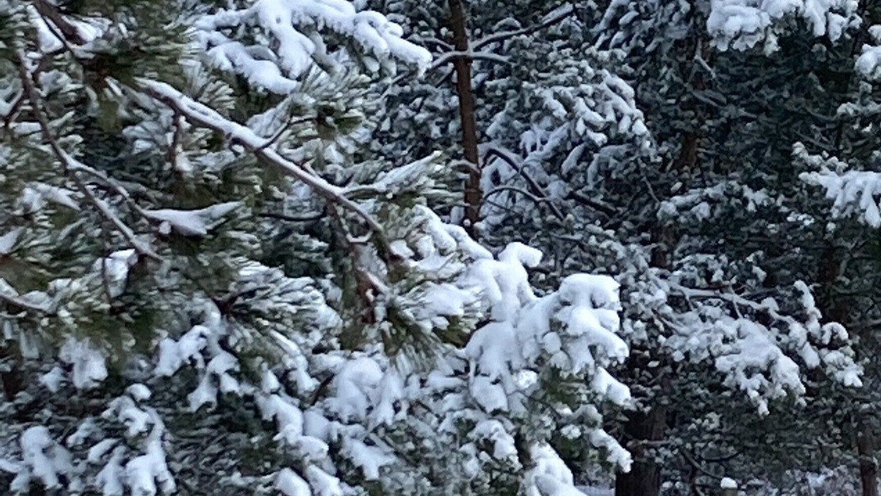 Photo of Others in Kingsley