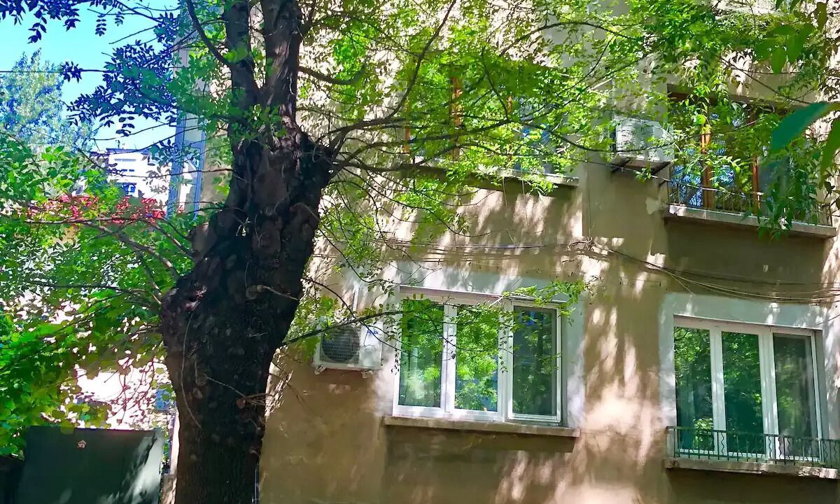 Photo of Outdoor in Oborishte