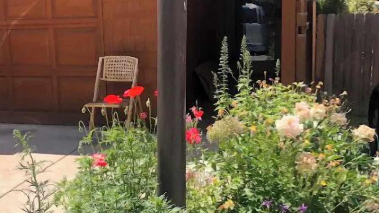 Photo of Outdoor in Aspen