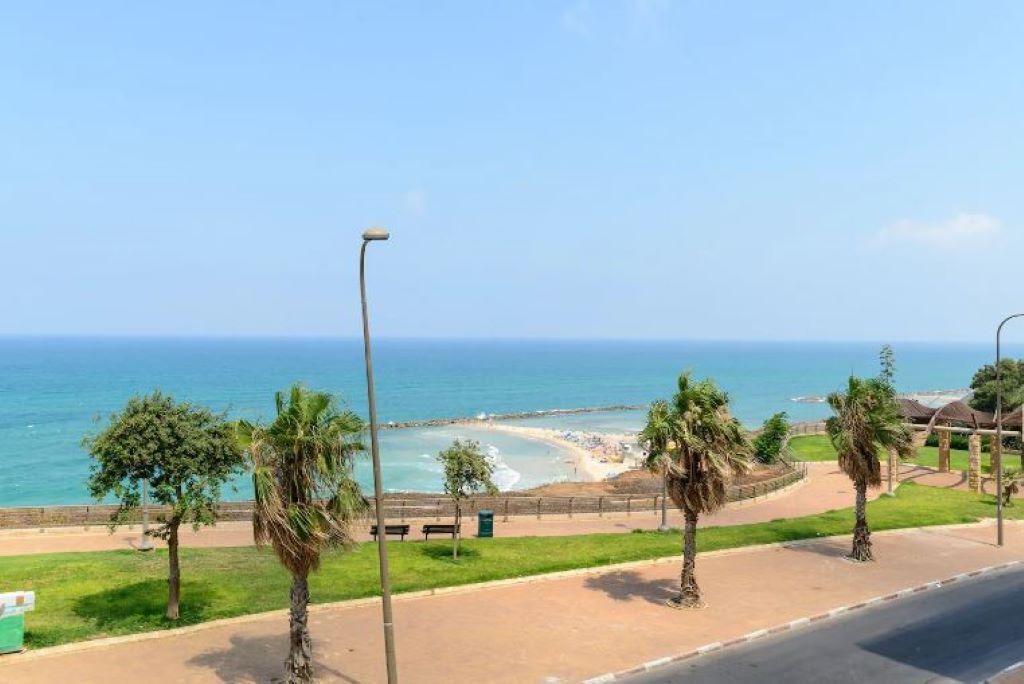 Photo of Others in Netanya