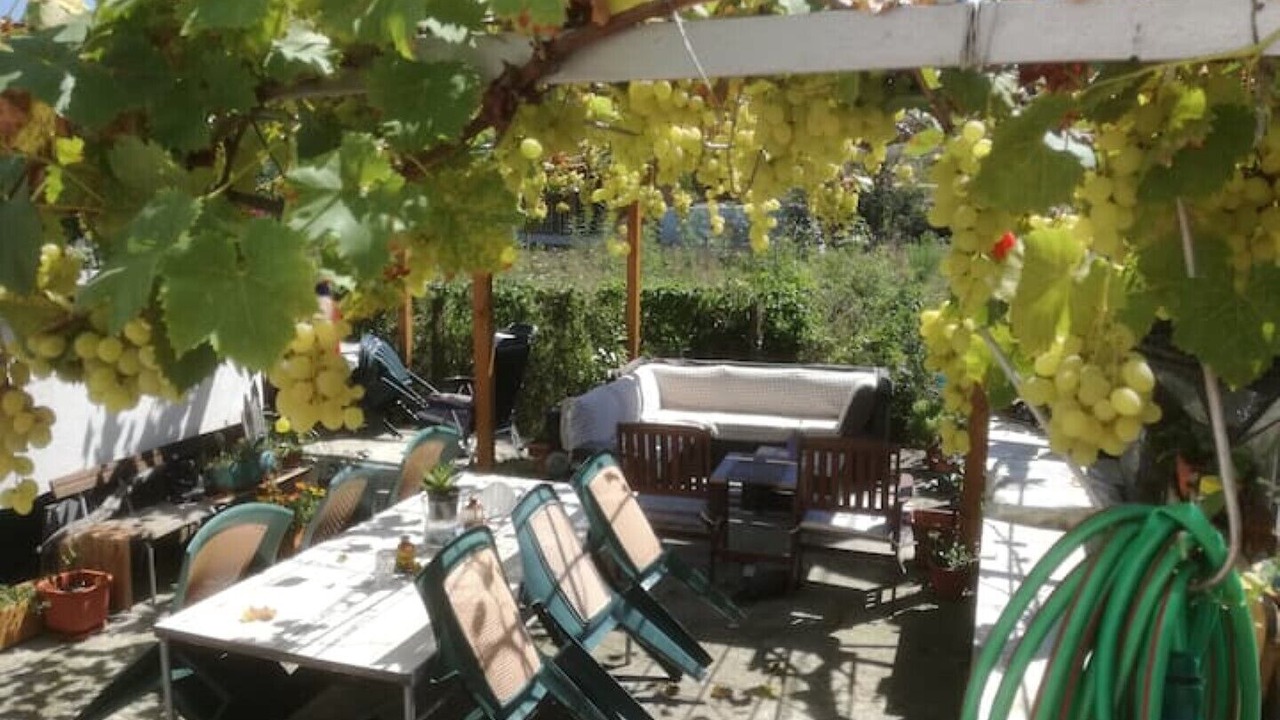 Photo of Outdoor in Velika