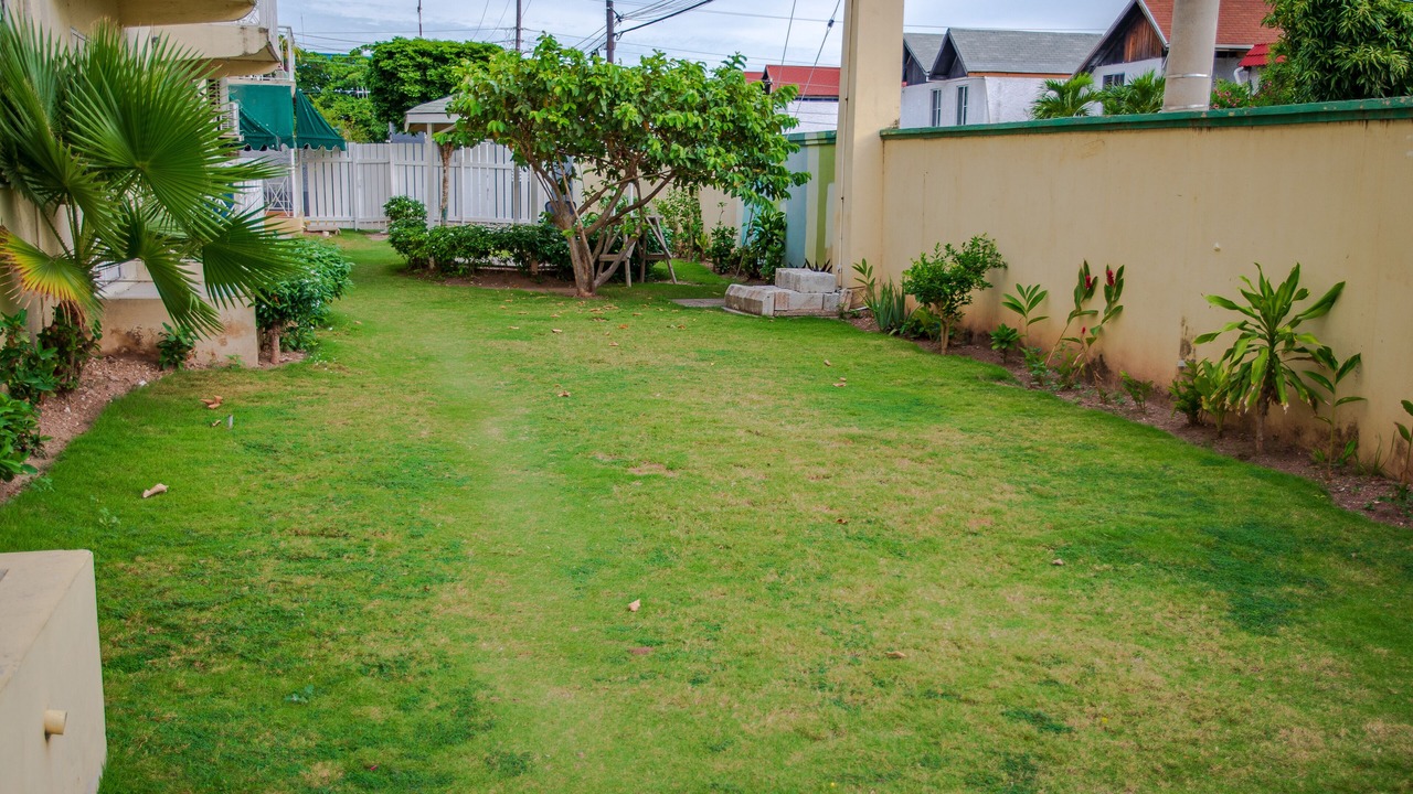 Photo of Outdoor in Kingston