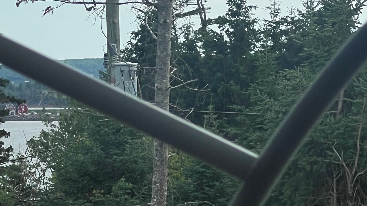 Photo of Others in Bayview