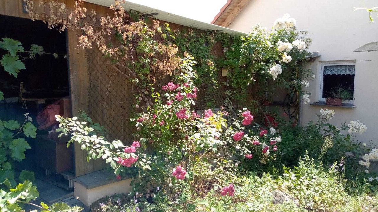 Photo of Outdoor in Rodelmaier